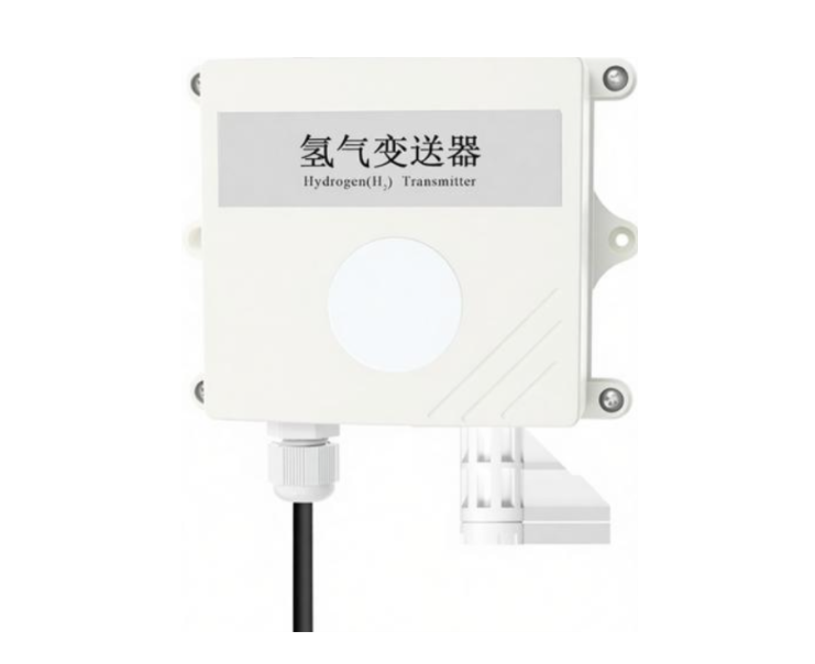 485型氫氣溫濕度變送器H2-N01-2-1000P-2-VL
